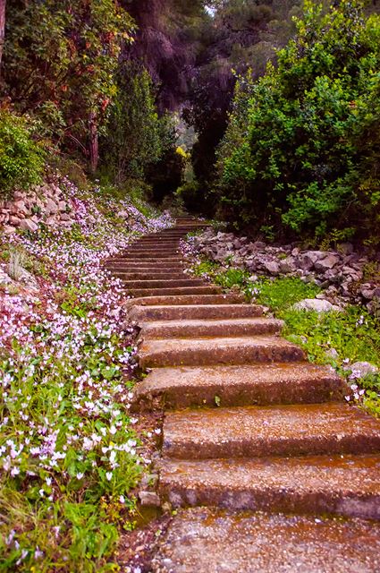 Stairway to Harissa (Darb el Sama)
