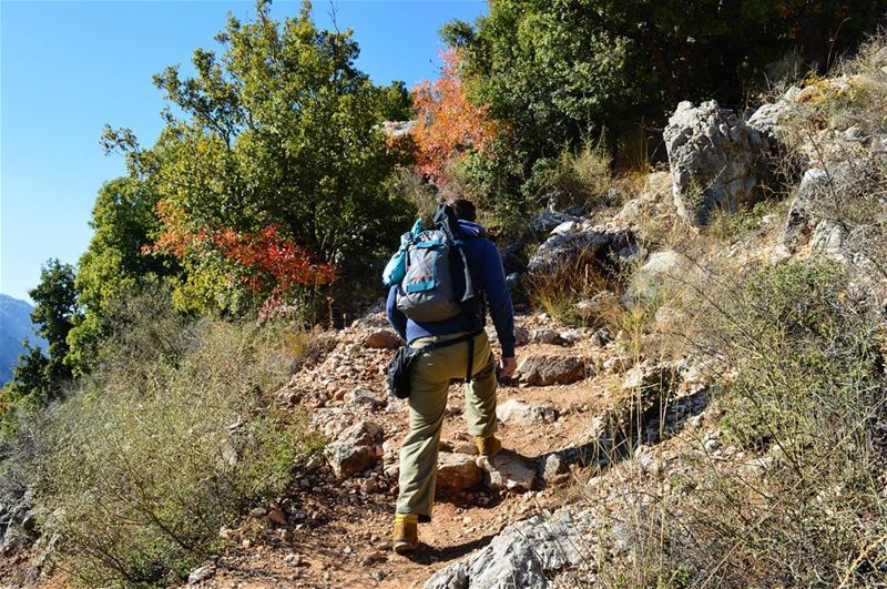 Stairway to heaven hiking hike sunday stairwaytoheaven camping camp... (Jabal Moussa)