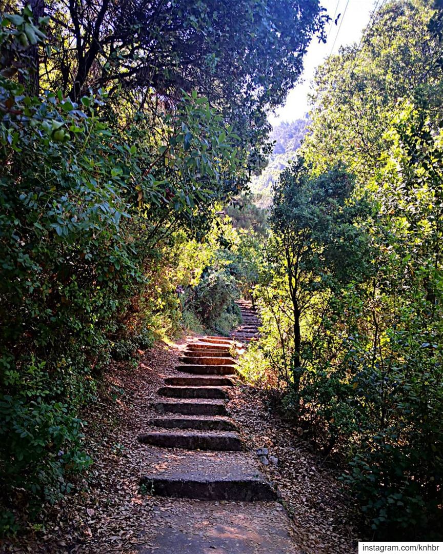 Stairway to  heaven hiking  livelovelebanon  hikingtrail  mountain ...