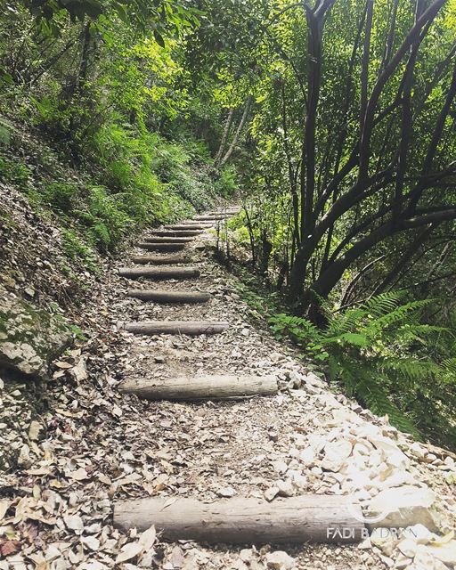 Stairway to ........... lebanon  beirut  vscocam ... (Chouwen Lake)