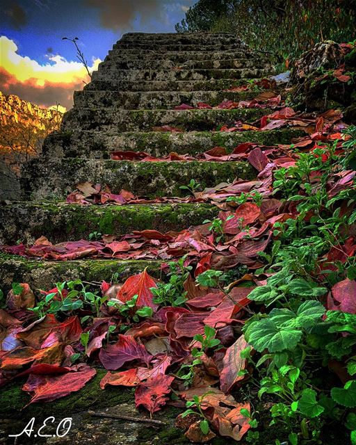 Stairways to Heaven...___________________________ stairs ...