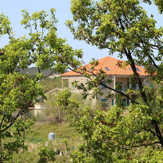 Stalking pretty houses is fun 🏡😋  goodmorning............. (Aïntoûra, Mont-Liban, Lebanon)