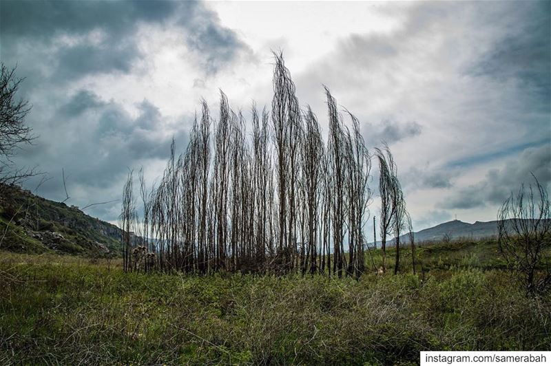 Stand tall............. valley  mountain  outdoor  clouds ... (Chouf)