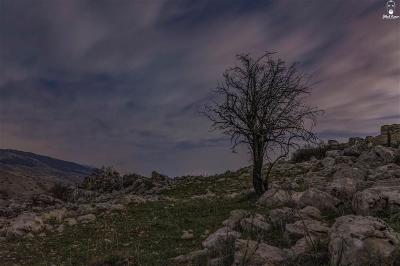 Standing alone will teach you the meaning of LIFE!!!... (Bmahray, Mont-Liban, Lebanon)