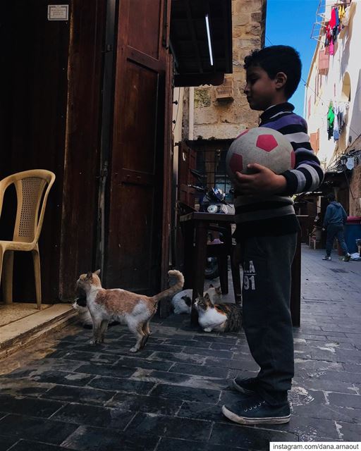 Standing in line has never looked better! 🐱👦🏻.. streetphotography ... (Sidon, Lebanon)
