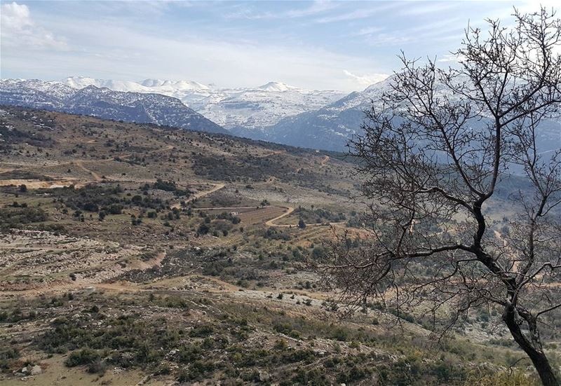  standtall  lebanon  naturelovers  amazingview  iglebanon  hiking ...