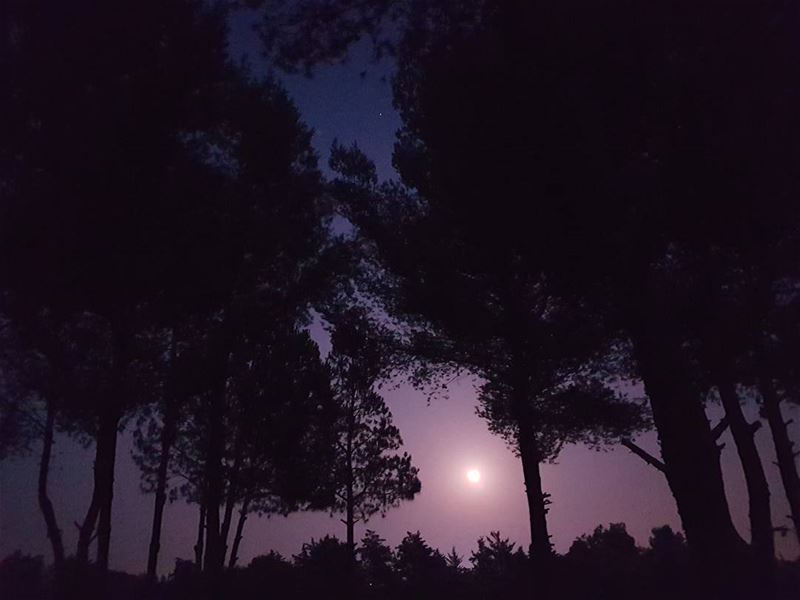 Stars dived in blinding skies.  instalebanon  ... (Al Sawaneh)