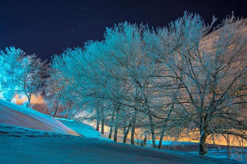 Stars of a stormy night...shot in  faraya  kfardebian  lebanon ...