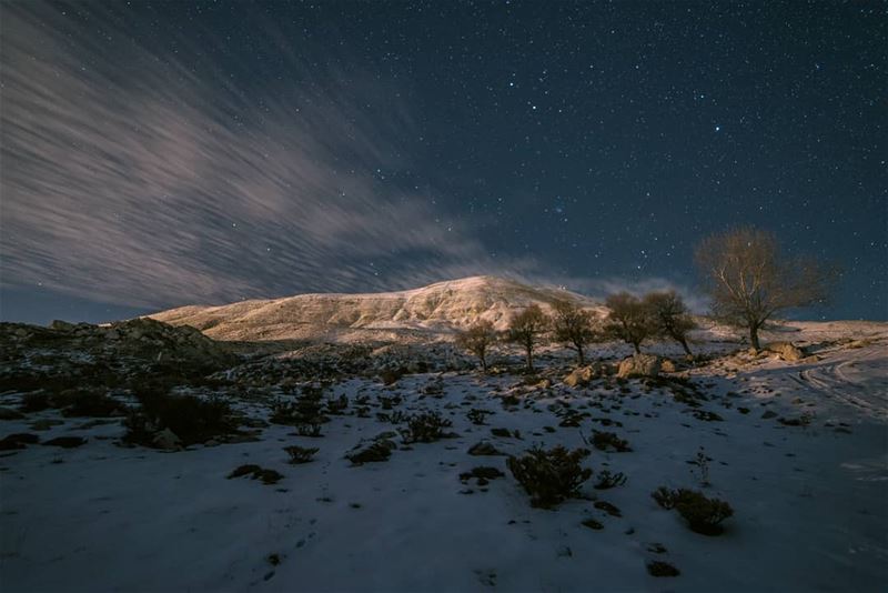 🌌❄..... stars stargazing clouds trees snow winter landscape... (Qanat Bakish, Mont-Liban, Lebanon)