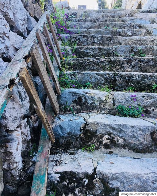 Starting my Morning Walk 🌺 WHO’S IN? 😀 great feeling and too much beauty... (Dahr Es-Suwan, Mont-Liban, Lebanon)