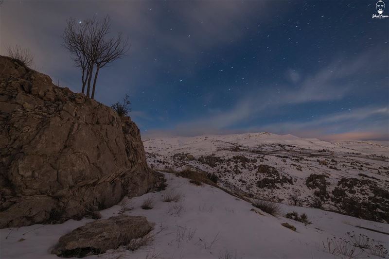 Stay always powerful; even if you have to stand Alone!!!!... (Tannurin Al Fawqa, Liban-Nord, Lebanon)