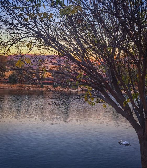 Stay away from negative vibes & don't worry cause  ... (Bnachii Lake)