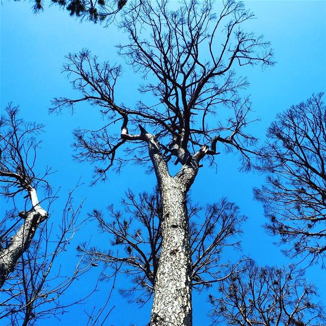 Stay connected between the earth & the sky....Follow @PROMAXSPORTS on... (Deïr El Harf, Mont-Liban, Lebanon)