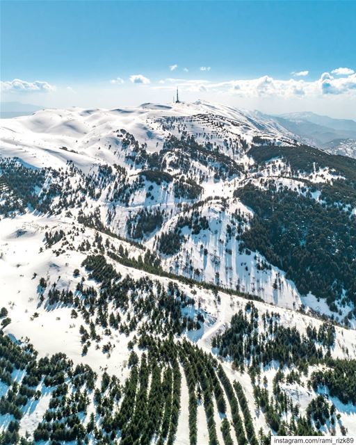 Stay tuned for an epic snow footage that will be released soon showing our... (Al Shouf Cedar Nature Reserve)