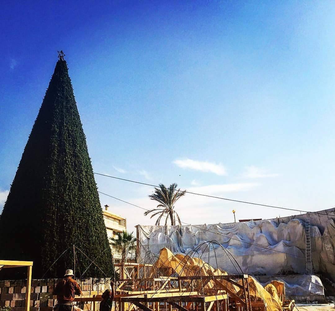 Stay tuned for the biggest Christmas grotto in Lebanon (Anfeh)