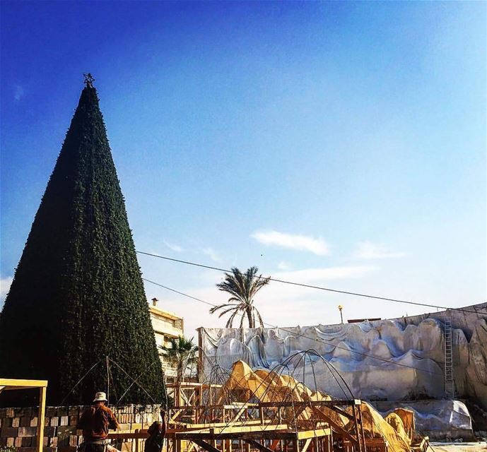 Stay tuned for the biggest Christmas grotto in Lebanon (Anfeh)