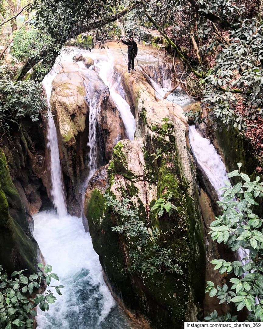  StayWild &  NeverStopExploring  WildExplorersLebanon 😎 Hike  Discover ... (El-Mukhtarah, Mont-Liban, Lebanon)