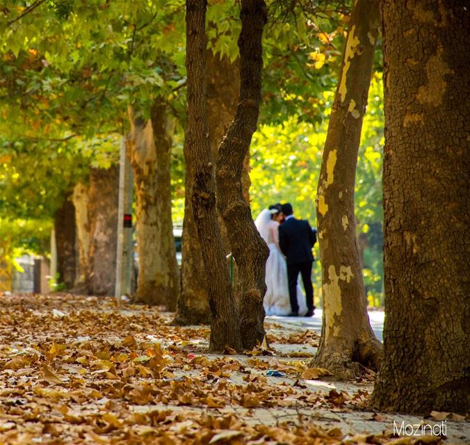 Stealing Their Moment 😁🙈.. -_-_-_-_--__--_-_-_-_-_-_-_-_---_-_--_-_-_-_- (Sawfar, Mont-Liban, Lebanon)