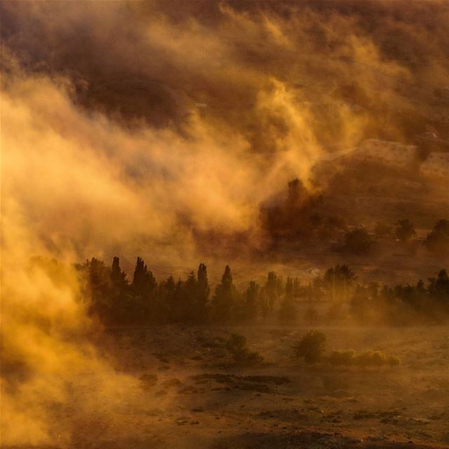 Steamy Summer Sunset ⛅🌲 fog  trees  sunset  summer  road  mountains ...