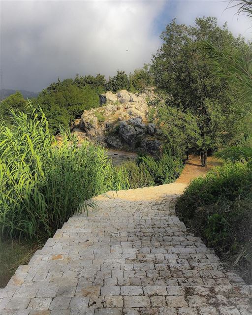 Step down to a world of  wonders  nature  path  mist  landscape  ig_myshot...