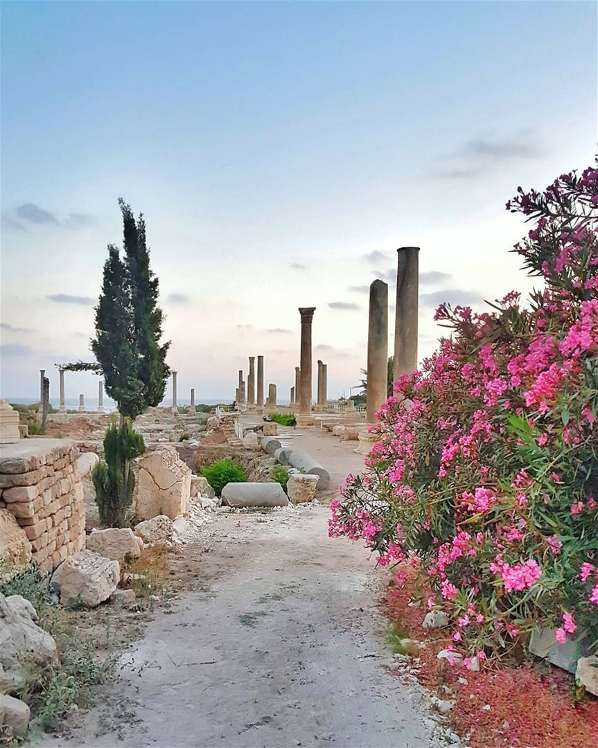 Stepping into this ancient Roman city on the sea side of Tyre literally... (Tyre, Lebanon)