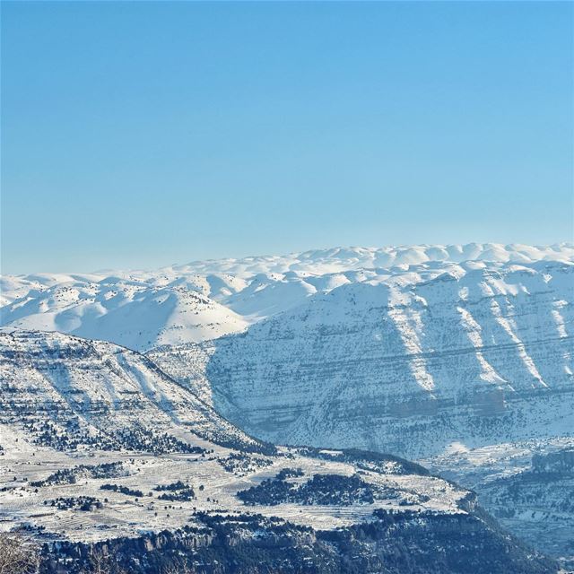 Still dreaming of powder snow ❄️ (Qartaba)