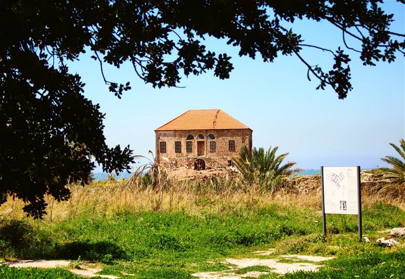 Still standing! lebanesehouses  lebaneseoldhouses  3000years  heritage ... (Jbeil جبيل)