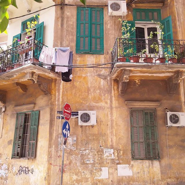 Stop and admire 💚 (Achrafieh, Lebanon)