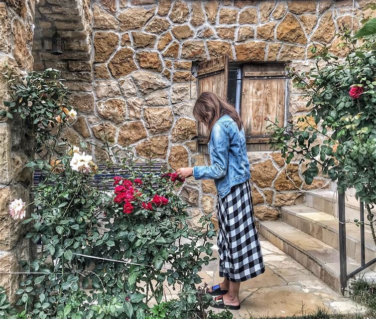 Stop and smell the roses 🌹.. flowers instalebanon  livelovebeirut ... (Lebanon)
