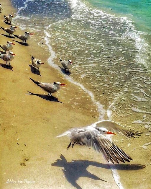 Stop the words now. Open the window in your chest and let the spirits fly... (Miami South Beach, Florida USA)