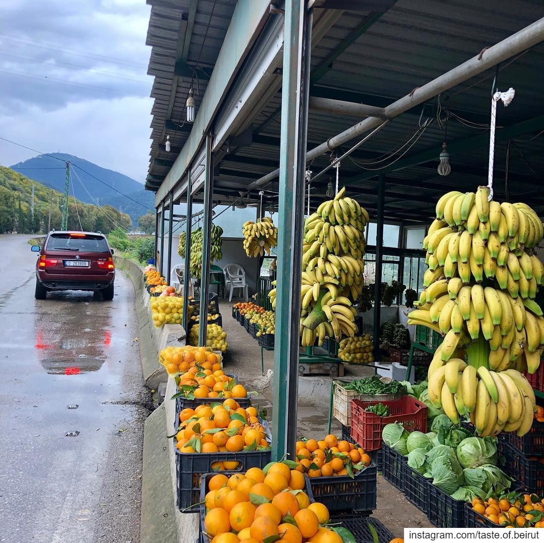 Stopping for a bit of shopping (half-price and grown a few feet away)... (Damour, Lebanon)