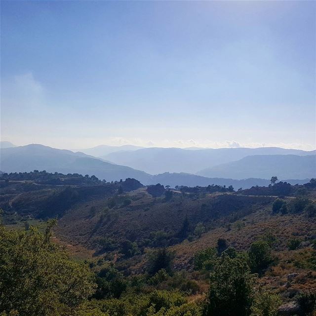 Stories, perspectives, aspirations. nature  sky  photography  blue  green... (Ain Zhalta- Bmohray Cedar Forest)