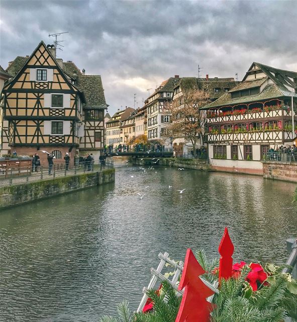 Strasbourg before Christmas is everything ❤️  christmasiscoming 🎄 ...... (Strasbourg, France)