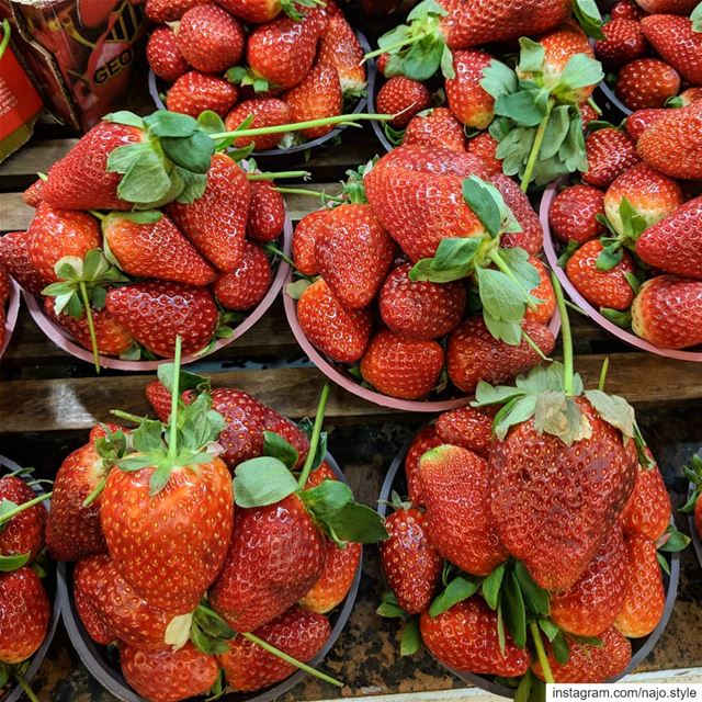  strawberry  fruit  fruits  fresh  yummy  instayummyfood   food  delicious...