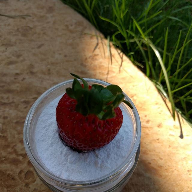  strawberry   strawberrylovers   fruit   yummy  instayummy   yummylebanon ...