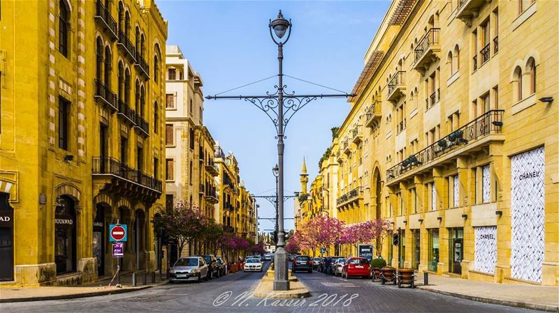  street  lightpole  trees  sky  ig_great_shots ... (Le Gray, Beirut)