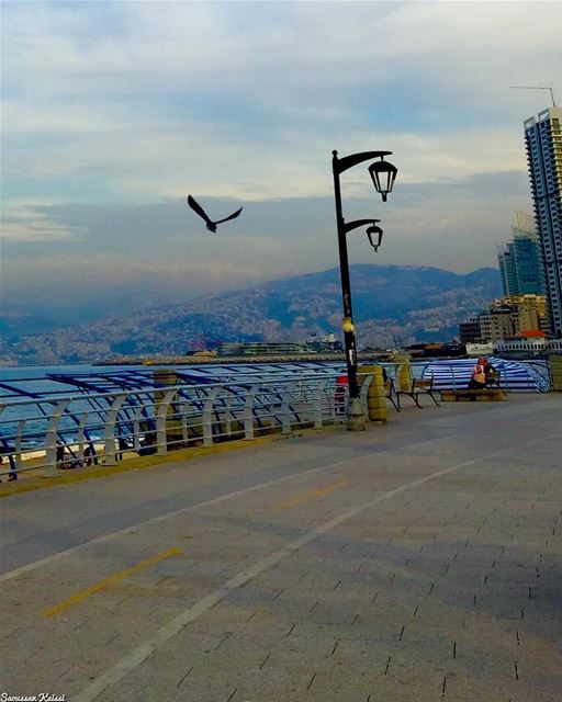  streetphotography  flying  freedom  beirut  lebanon  sea clouds...