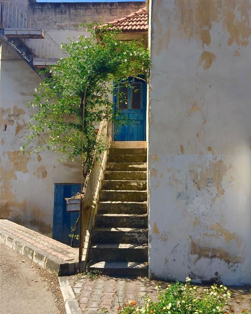  streetphotography  old  nostalgia  lebanonhouses  blue  oldhouse ...