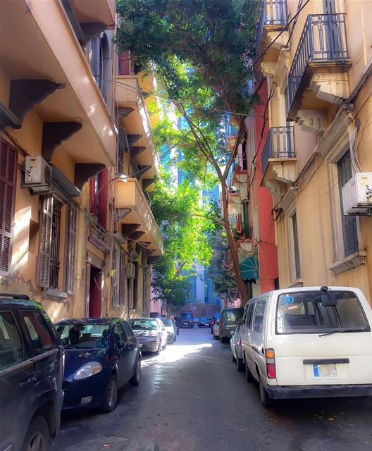 Streets of  beirut At the bottom of this narrow alley, stands a ...