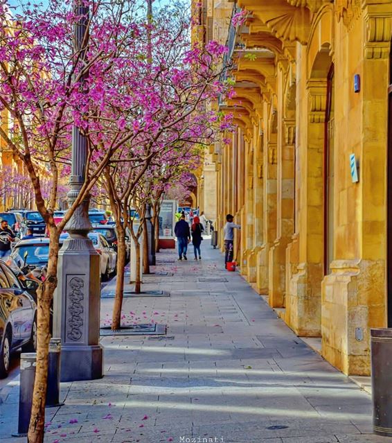  streetshot  streetphotography  ig_street  springfield  springtime ...