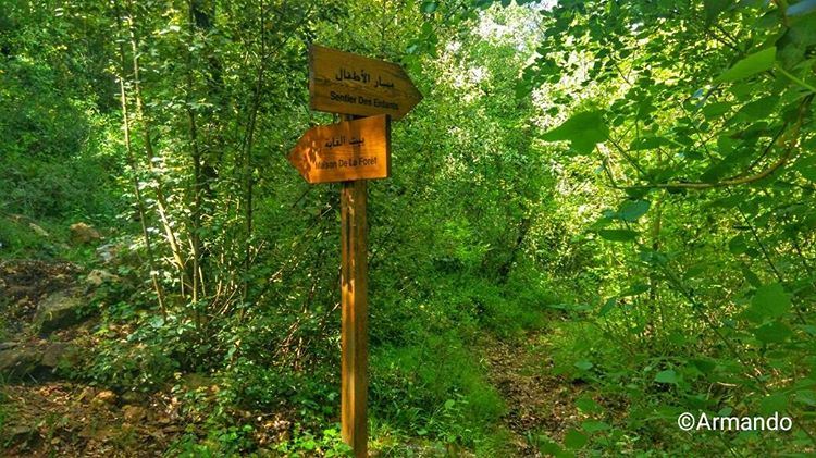 Stress free area ahead 😊👌 whatsuplebanon  lebanon_hdr  thisismylebanon... (Baakline, Mont-Liban, Lebanon)