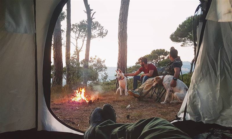 Stress is caused by not camping enough...and I don't like stress😎...... (Marj Biskinta, Mont-Liban, Lebanon)