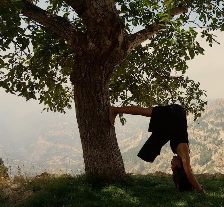 Stretching with mama tree  love  earth  below me   fire  within  me  tree ... (Bcharreh, Liban-Nord, Lebanon)