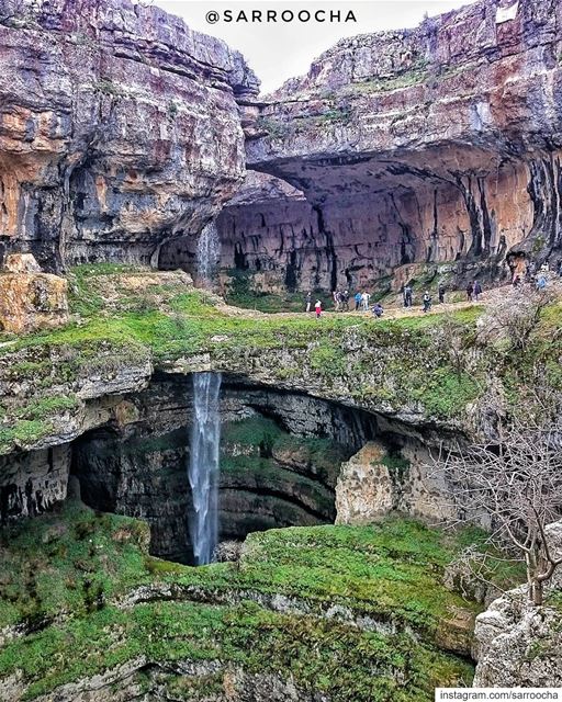 Study nature, love nature, stay close to nature🌱.  takenbyme  ptk_Lebanon... (Bâloûaa Balaa)