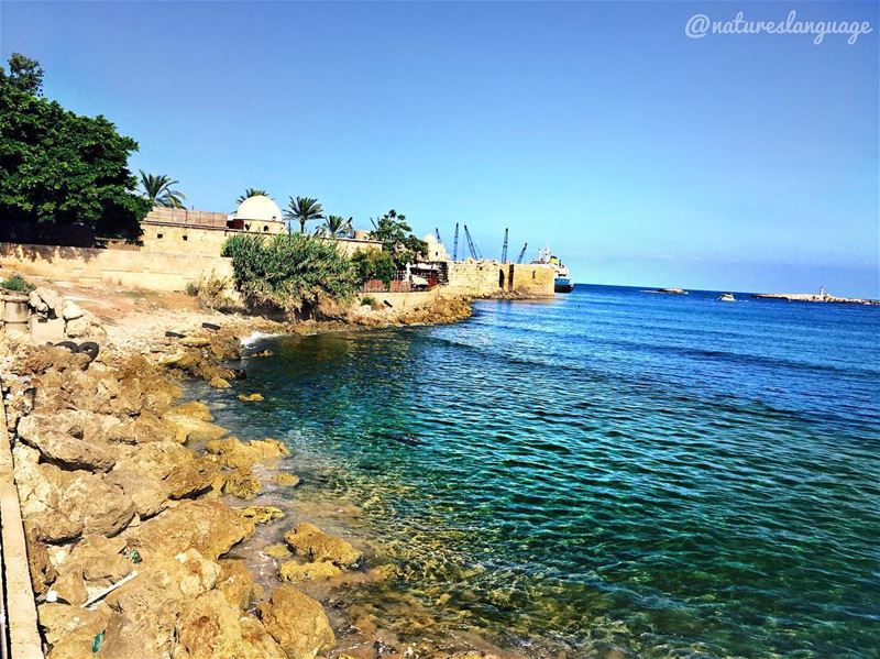 Stunning view of sidon's sea castle and zire island 🌴 ..... saida ... (Sidon Sea Castle)