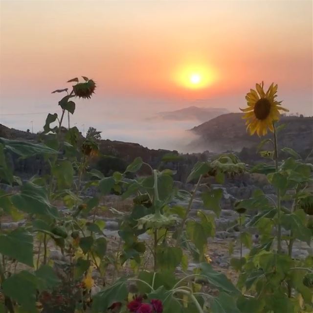 Such a beautiful place 🌄Faraya Lovers  mountains  faraya  sunset ... (Faraya, Mont-Liban, Lebanon)