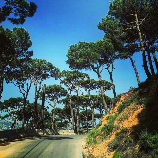 Suivre ses rêves...ils connaissent toujours le chemin.💚💙 photography ... (Lebanon)