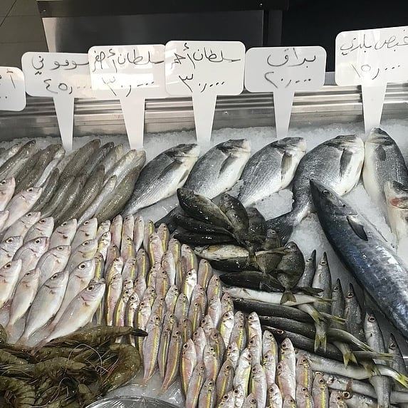 @sultanalbahrlb -  Bezre is back💃  fish  salmon  seafood   shells  bizre ... (Sultan Al BAHR)