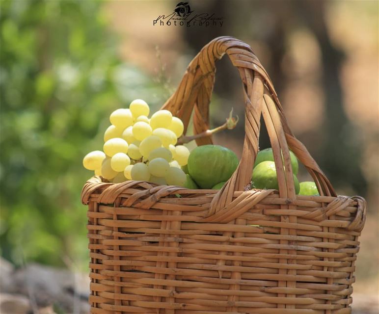 Summer fruits 🍇🍃• • •  chouf  shoufreserve  lebanon  beirut ...