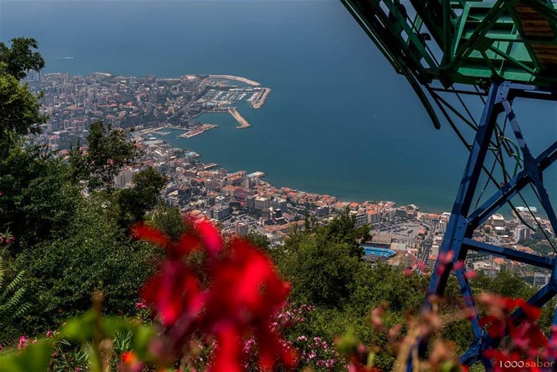  Summer in  Lebanon, from Harissa. Inlove with that sightJe kiffe ce... (Harîssa, Mont-Liban, Lebanon)